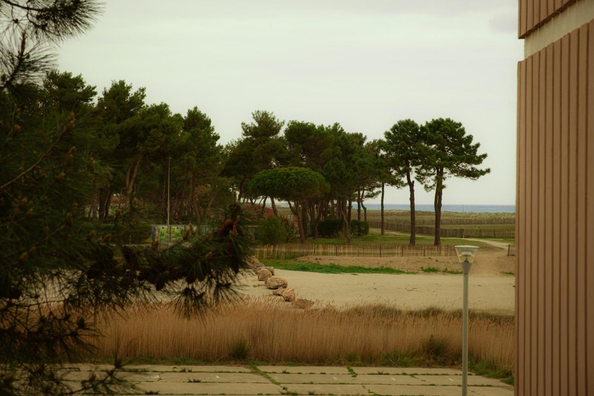 Magnifique Appartement De Type Loft En Front De Mer Avec Vue, Parking Et Wifi Argelès-sur-Mer Dış mekan fotoğraf